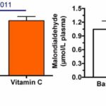 Cystic fibrosis patients can benefit from vitamin supplements, Oregon State research shows