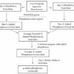 Examining dietary phosphorus intake