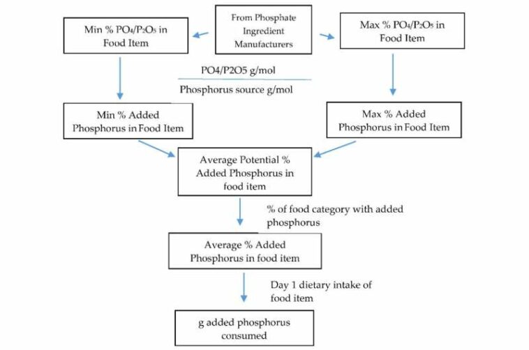 Examining dietary phosphorus intake