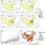 Spatiotemporal variation of mortality burden attributable to heatwaves in China, 1979-2020