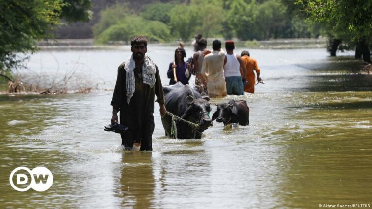 Fact check: Is the West responsible for floods in Pakistan?