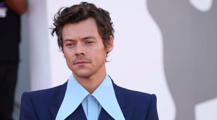 harry styles, harry styles fashion, harry styles venice film festival