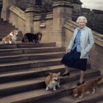 Here's What Will Happen to Queen Elizabeth II's Corgis After Her Death - E! Online