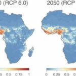 Lassa virus endemic area may expand dramatically in coming decades