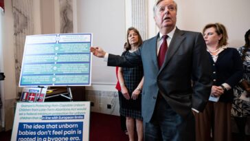 Lindsey Graham's abortion ban bill baffles some Republicans as Democrats sharpen attacks in key midterm races