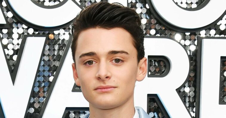 Noah Schnapp Responds After Bachelor’s Hannah Godwin Says They Have Beef