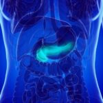 Novel bihormonal artificial pancreas beneficial after pancreatectomy