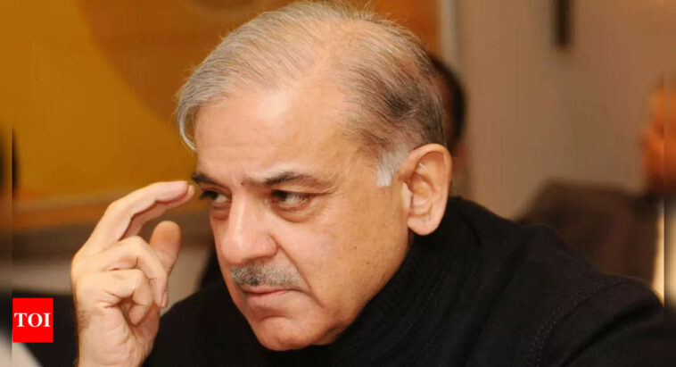 Pakistan PM Shebaz Sharif appears before HC in missing persons case