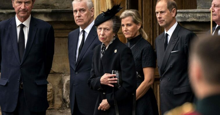 Princess Anne Shares Emotional Curtsy to Queen Elizabeth II's Coffin