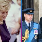 Princess Diana Would Be 'Really Infuriated' by William and Harry's Rift, Biographer Claims