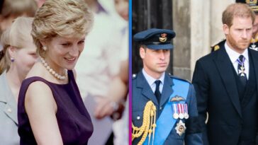 Princess Diana Would Be 'Really Infuriated' by William and Harry's Rift, Biographer Claims