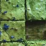 matcha brownies