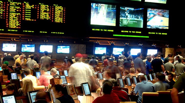 Social media data shows rise of popularity of sports betting