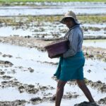 Sri Lanka on brink of food crisis after economic meltdown