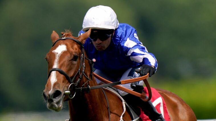 Dance In The Grass was an impressive winner at Sandown last time