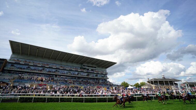 St Leger: Racing on Saturday cancelled with Doncaster to host nine races on Sunday including Classic