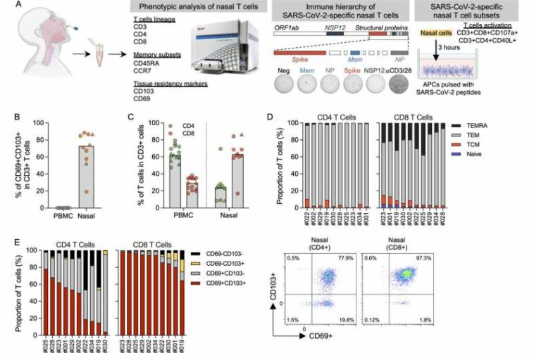 Study suggests breakthrough SARS-CoV-2 infection may confer extra protection to vaccinees