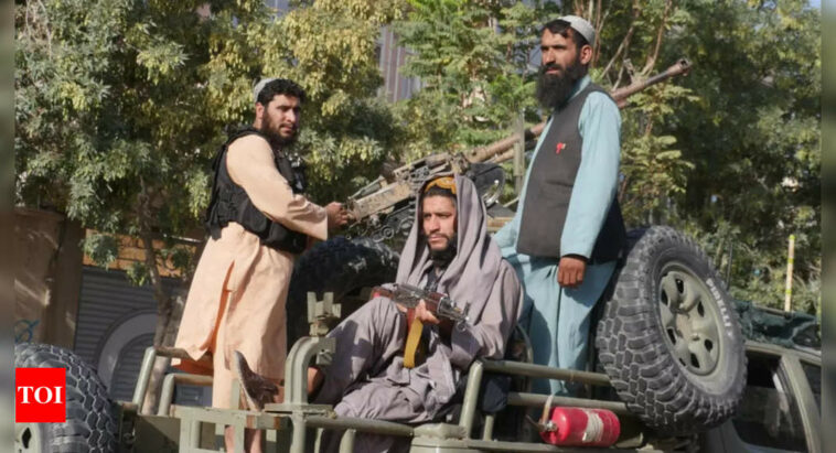 Taliban reject UN report, say no women fired from government jobs