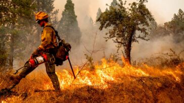 Thousands evacuated as wildfires spread across western US