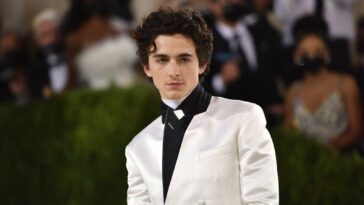 Timothée Chalamet Received Some Pieces Of Advice From Leonardo DiCaprio