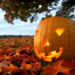 Pumpkin carved for Halloween, sat on autumn leaves in a field