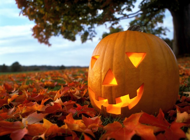 Pumpkin carved for Halloween, sat on autumn leaves in a field