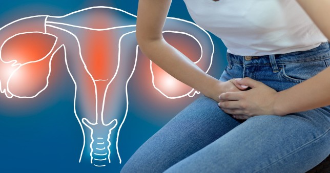 pelvic inflammatory disease