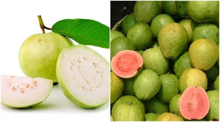 white pink guava