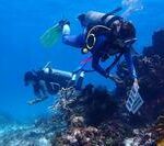 Women lead marine restoration efforts in the UNESCO Seaflower Biosphere Reserve