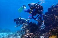 Women lead marine restoration efforts in the UNESCO Seaflower Biosphere Reserve