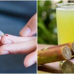 sugarcane diabetes