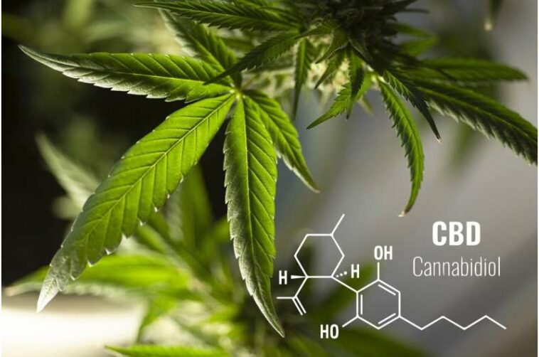 cannabinoids