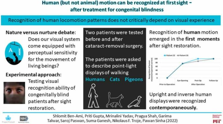 After lifetime of blindness, newly sighted can immediately identify human locomotion