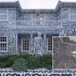 Artist covers his house in doodles