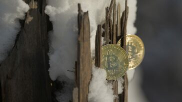 Crypto winter is hurting Google's ad empire