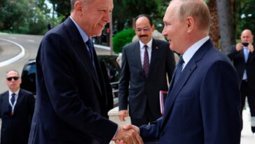 Erdogan says Turkey and Russia to study Putin’s gas hub proposal