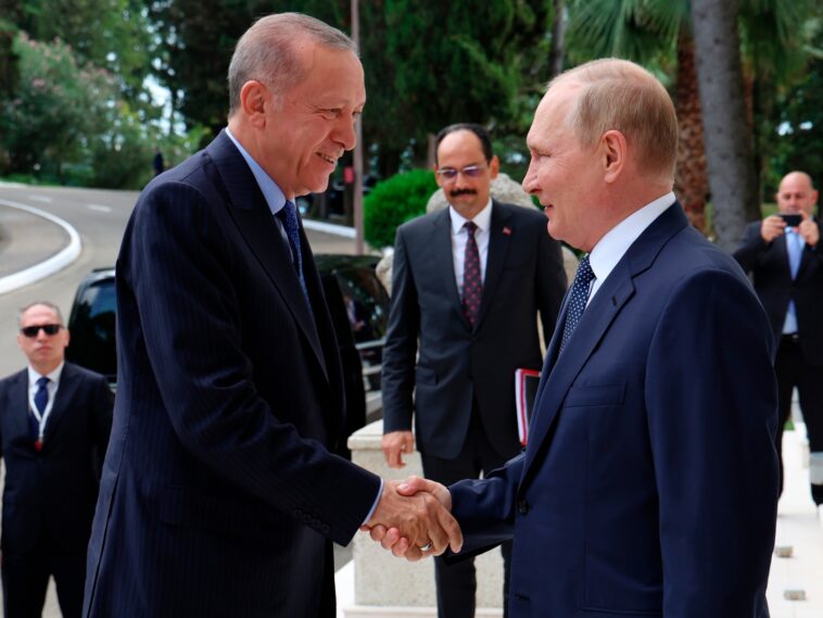 Erdogan says Turkey and Russia to study Putin’s gas hub proposal