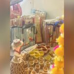 Exhibitions, Diwali melas: Strengthening women through urban livelihoods