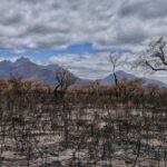 Fatigued Aussies face a 'perfect storm' of climate change-fueled disasters