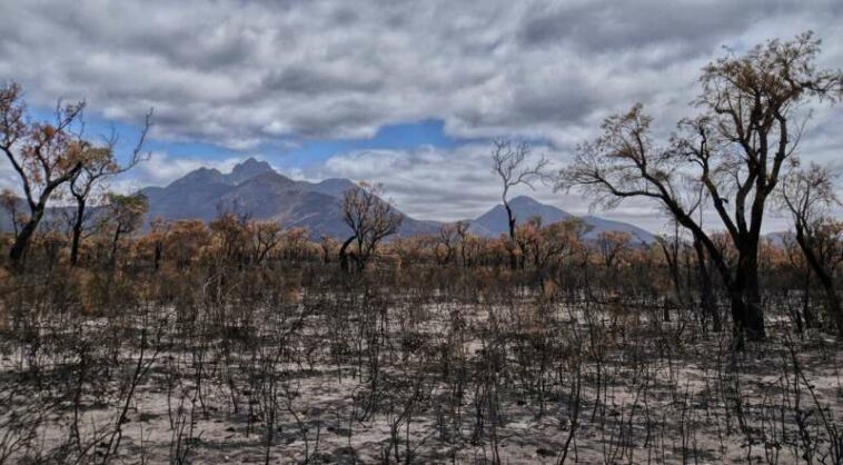 Fatigued Aussies face a 'perfect storm' of climate change-fueled disasters