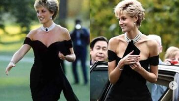 Princess Diana, Princess Diana news, Princess Diana fashion, Princess Diana dresses, Princess Diana revenge dress, Elizabeth Debicki in revenge dress, The Crown Netflix, indian express news