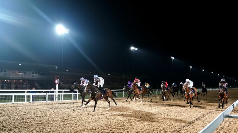 Race of the Day: What's The Story difficult to beat off the front in competitive Southwell heat