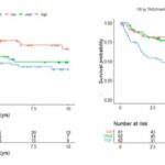 Simple test could lead to more personalized treatment of rare ovarian cancer