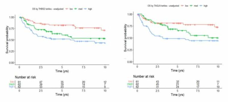 Simple test could lead to more personalized treatment of rare ovarian cancer