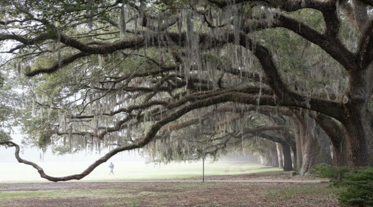 36 hours in Savannah, Georgia