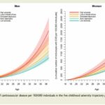 Adversity in childhood is linked to increased risk of heart and blood vessel diseases in early adulthood