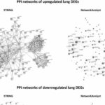 Covid Systems Biology Uncovers New Genetic Signatures in Lung and Whole Blood