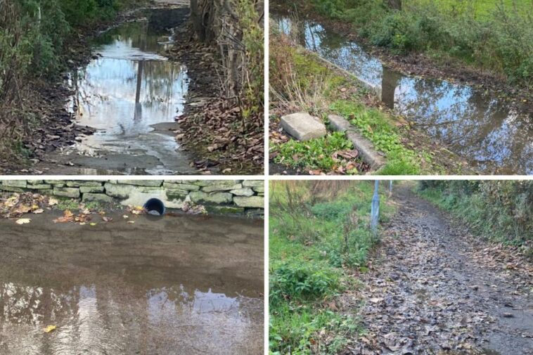 Calls to stop footpaths from flooding when it rains - or risk someone getting hurt