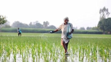 Govt may rationalise urea price, disincentivise chemical fertilisers