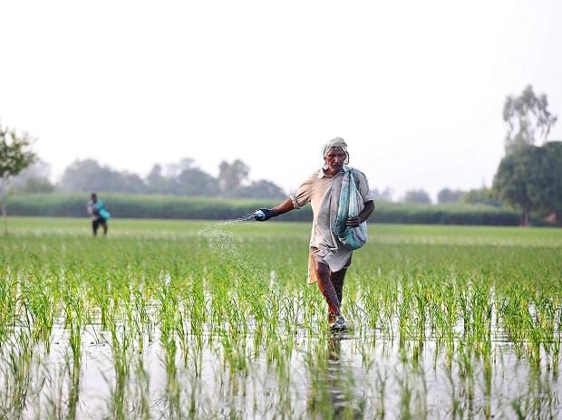 Govt may rationalise urea price, disincentivise chemical fertilisers